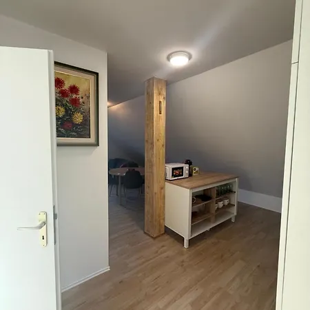 Apartma Klemenc Апартаменты Бохинь