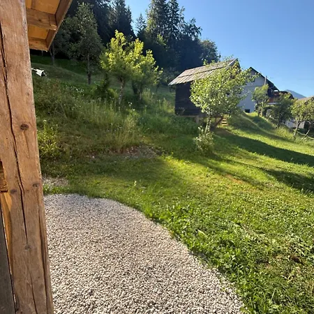 Apartma Klemenc * Bohinj